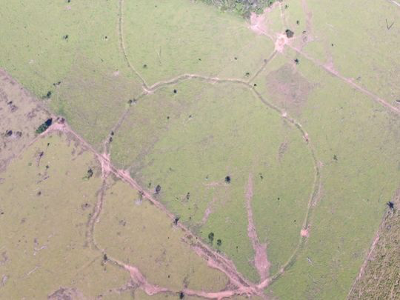 Pre-Columbian settlements