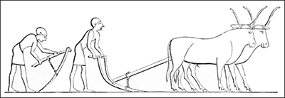 Egyptian plow and hoe