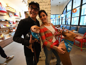 Boris & Horton, New York's dog café