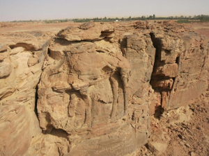 Camel carvings in Saudi Arabia