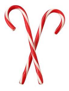 the candy cane is a tweak of a centuries old hard sugar candy stick that was originally white and enjoyed by european children as far back as the 17th - Christmas Candy Canes the candy cane is a tweak of a centuries old hard sugar candy stick that was originally white and enjoyed by european children as far back as the 17th - Christmas Candy Canes