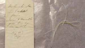 Washington's hair, in a book