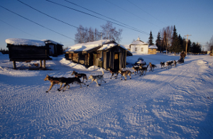 Iditarod checkpoint