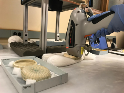 X-ray fluorescence detector