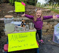 Lemonade stand