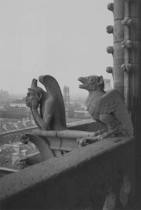 Notre Dame cathedral gargoyle and chimera