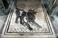 Pompeii Cave Canem