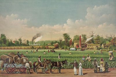Slave plantation