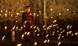 Tower of London WWI centenary
