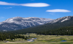 Tuolumne Meadows