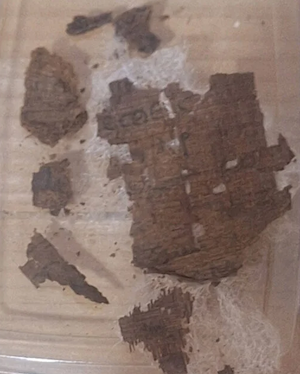 Oxyrhynchus papyrus Iliad