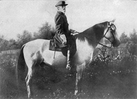 Robert E. Lee on Traveller