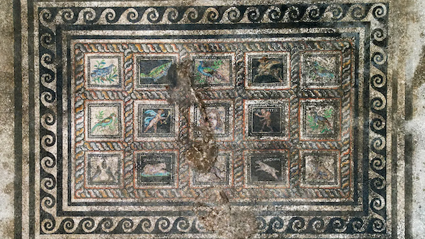 Roman mosaic cat and dog